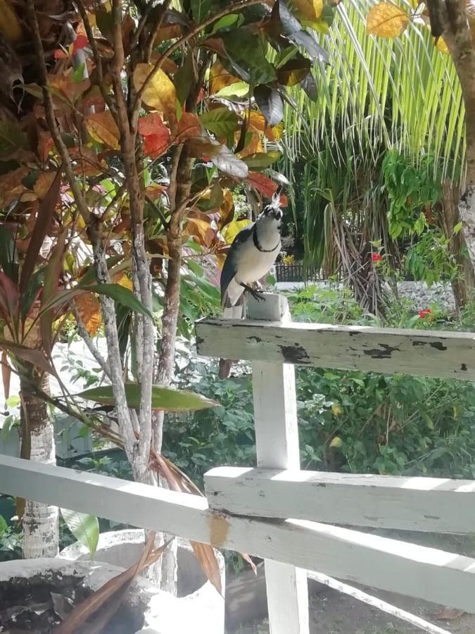 Donde Familia Manito Bed & Breakfast Paquera Luaran gambar